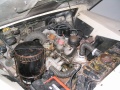 Kiwi's engine